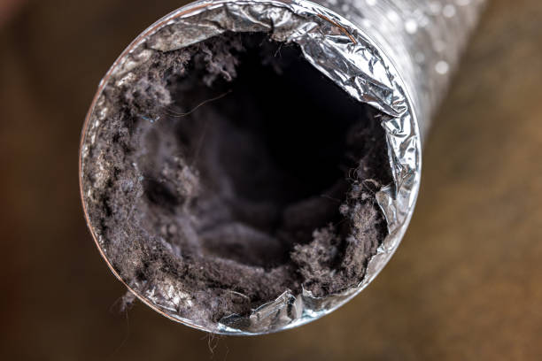 Best Ductwork Cleaning Services  in Oakland, IA